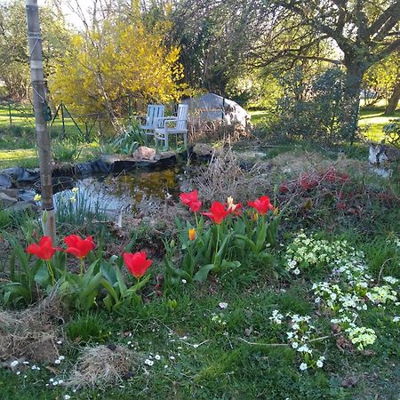 הוילה Dinant La Bergeronnette Avec La Chaleur Du Feu De Bois Et Le Jardin חדר תמונה