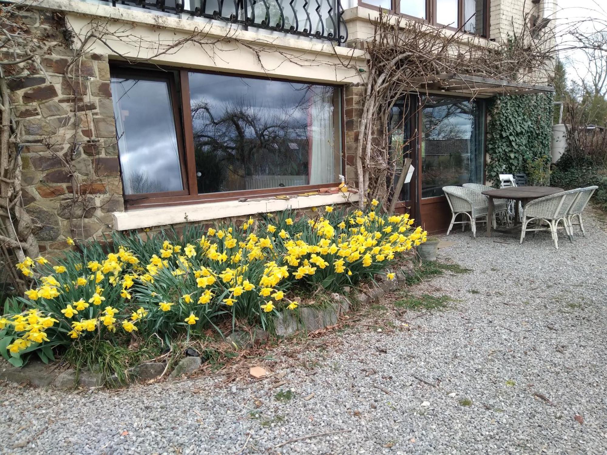 הוילה Dinant La Bergeronnette Avec La Chaleur Du Feu De Bois Et Le Jardin מראה חיצוני תמונה
